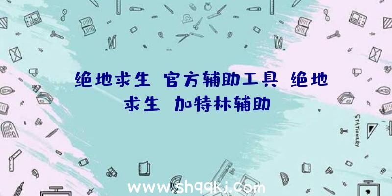 《绝地求生》官方辅助工具、绝地求生